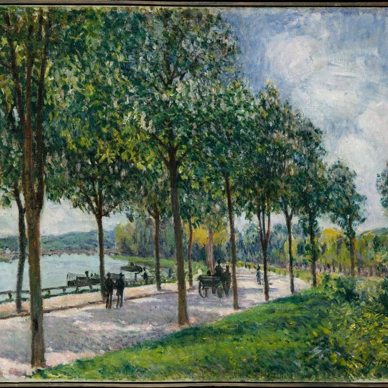 Allée of Chestnut Trees