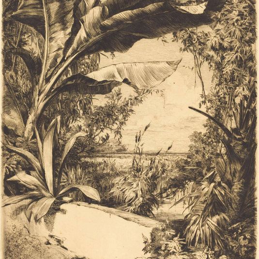 Plantes de Serre