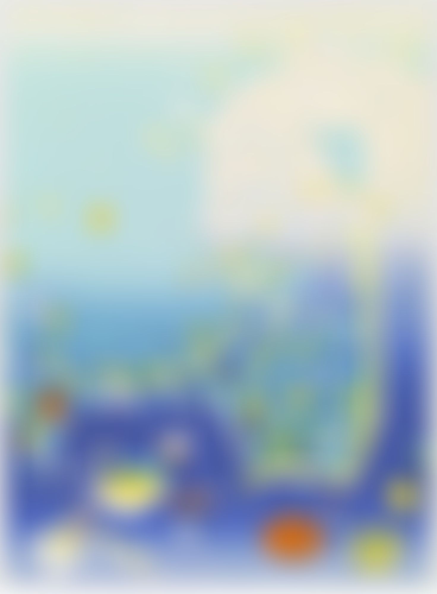 Object Image
