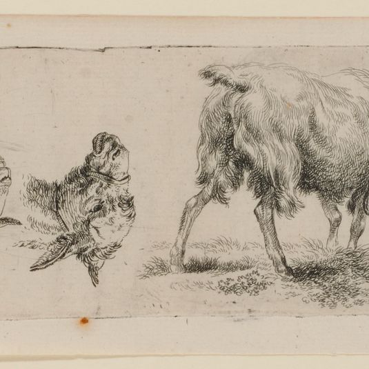 Sheet Of Studies With Standing Goat Left And A Donkey And Sheep Head Right (Upside Down)