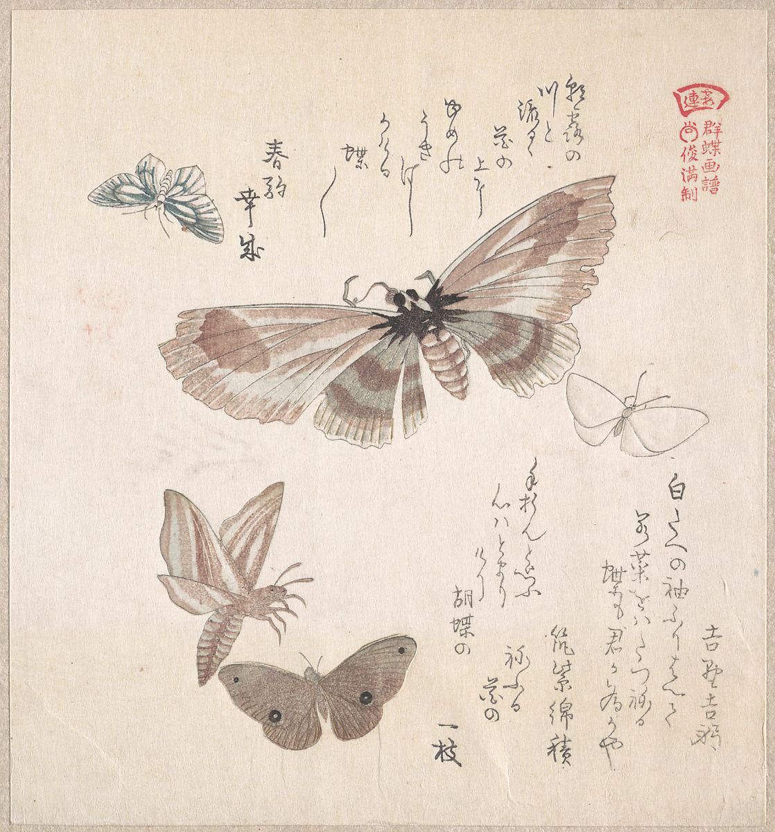 Object Image