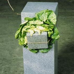 Untitled (Sculpture That Eats)