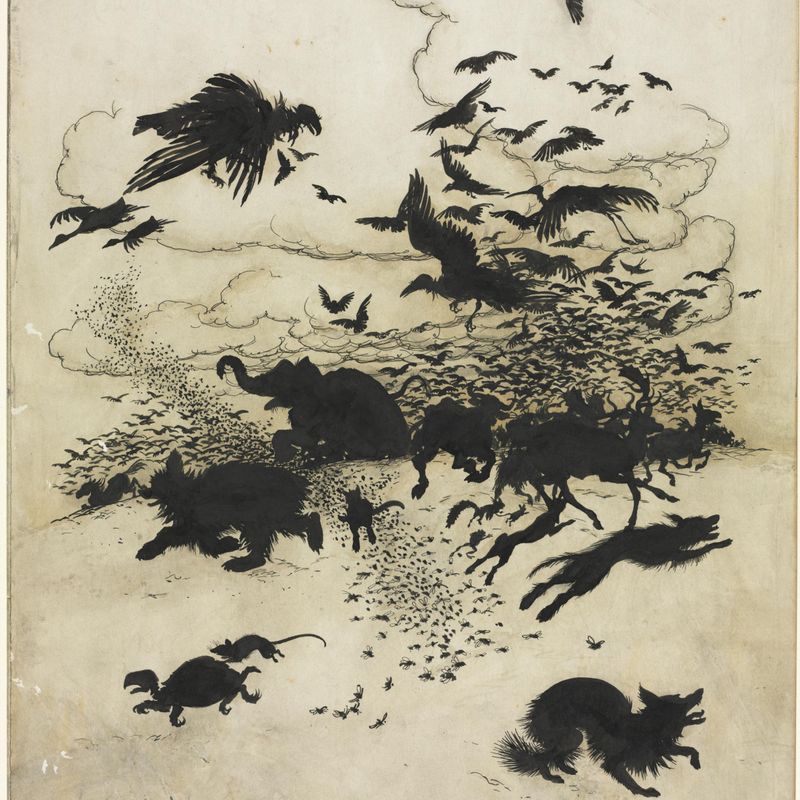 The Wren and the Bear