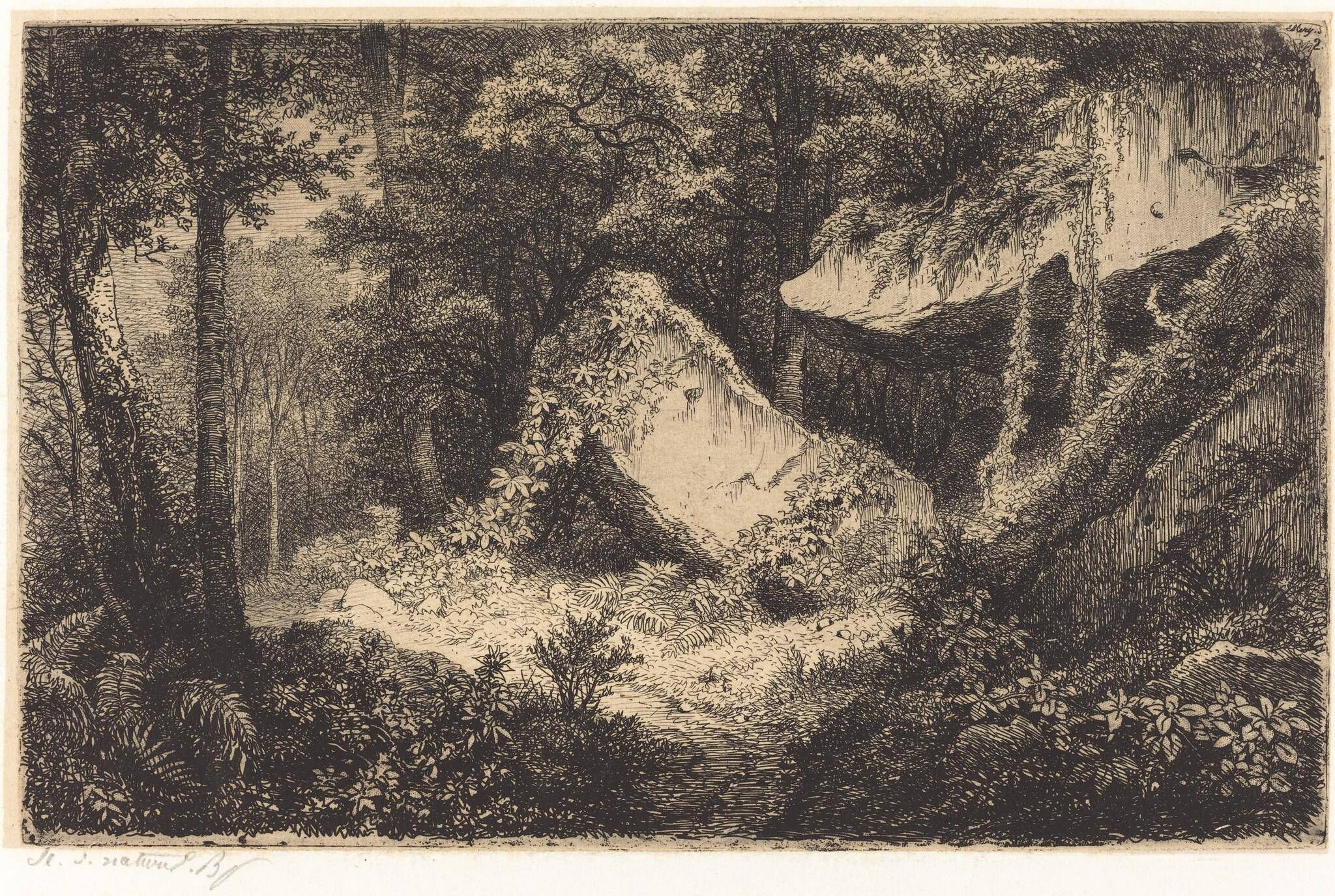 Object Image