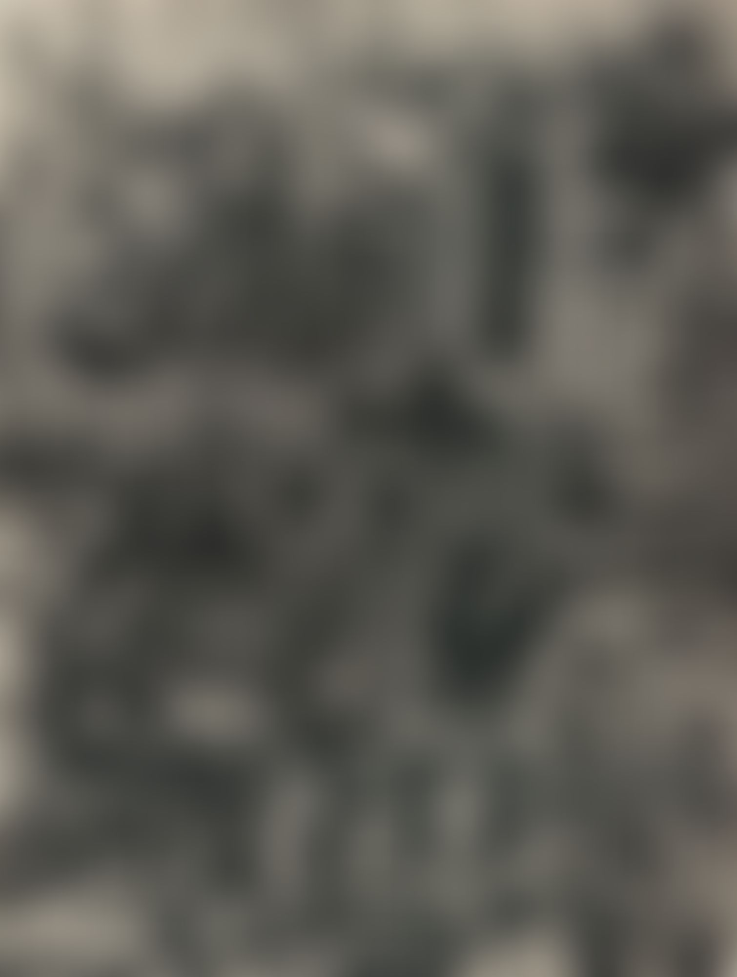 Object Image