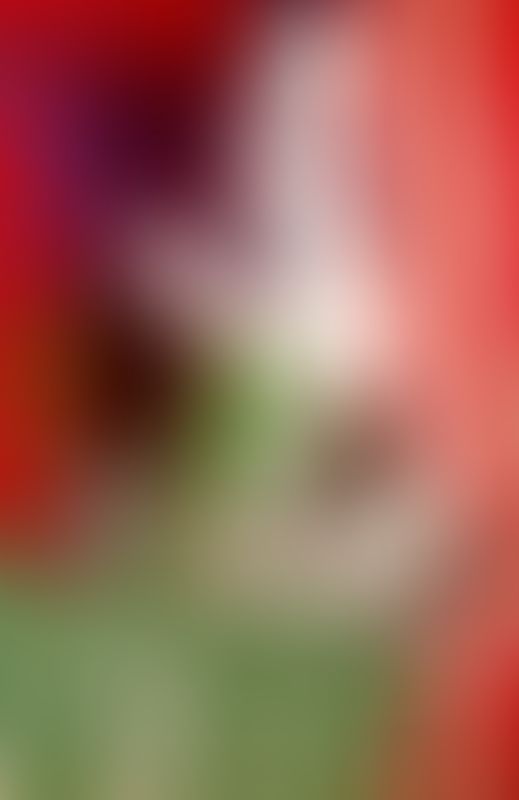 Object Image