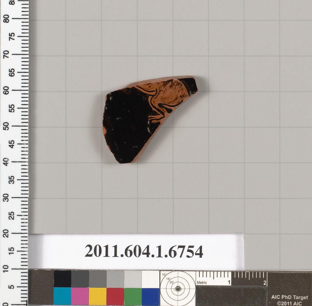 Object Image
