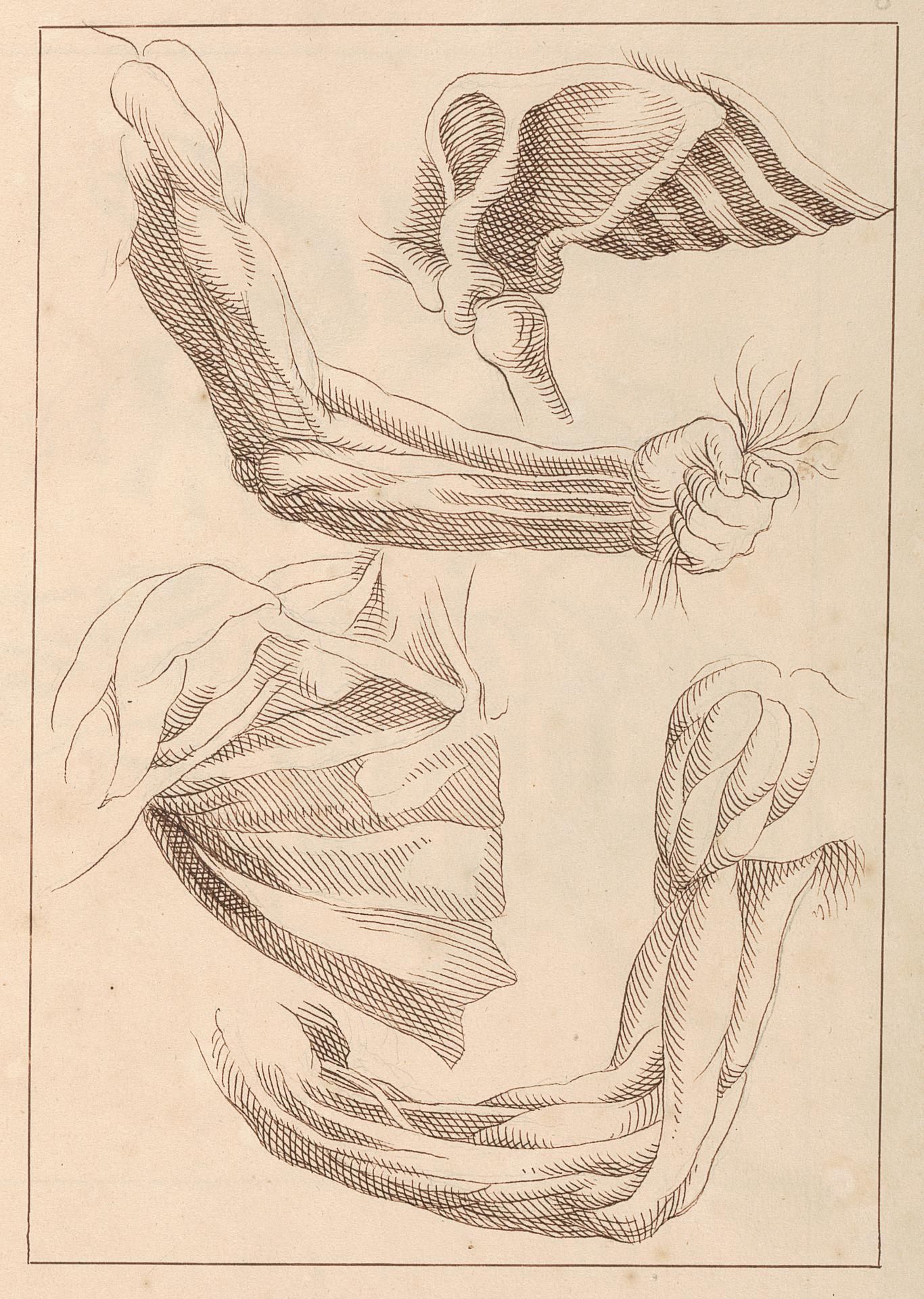 Object Image