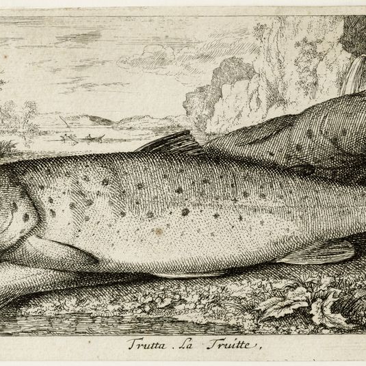 Diverses espèces de poissons d'eau douce, première partie, La truite (Robert-Dumesnil 460, Bartsch 46)