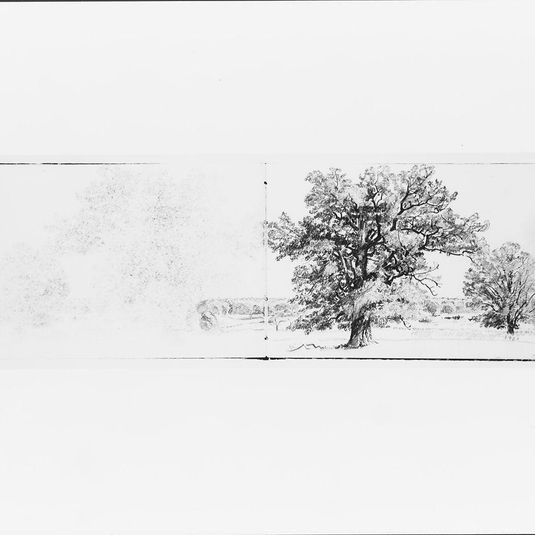 Outline of Trees and Terrain (from Sketchbook VII)