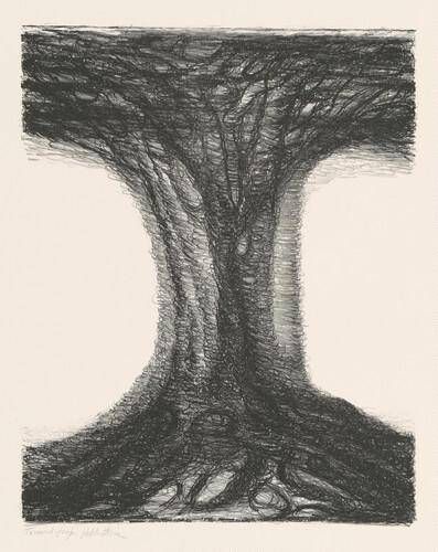 Object Image