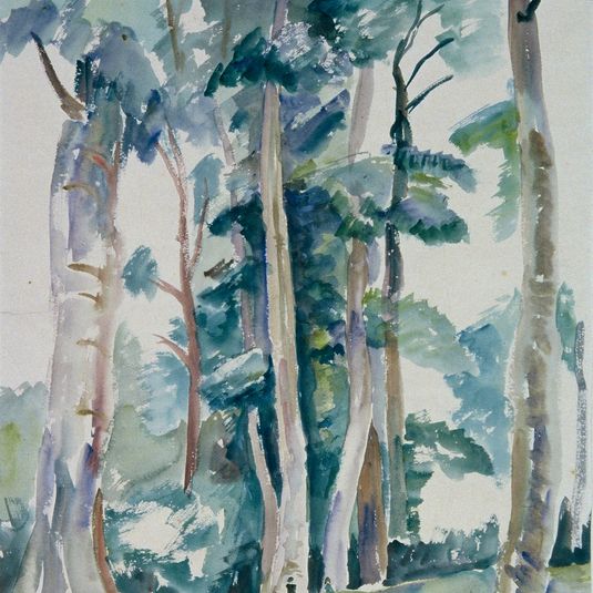 Out in the Forest