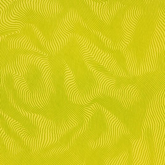 Nuee Jaune-Vert