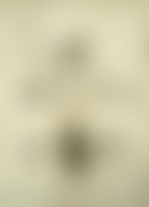 Object Image