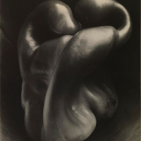 Pepper no. 30