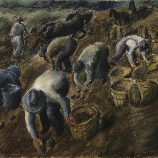 Potato Planting