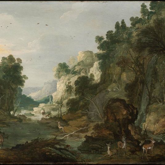 Forest Gorge