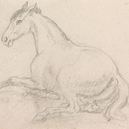 A Horse Lying Down