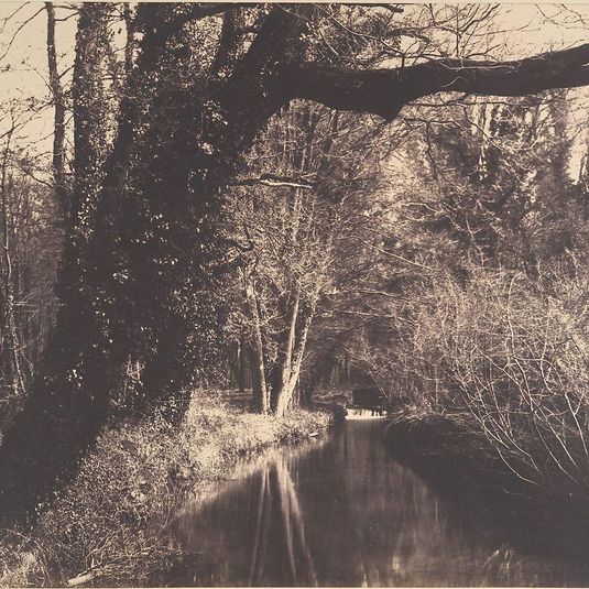 Parc de Courances
