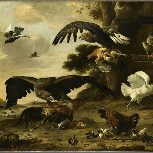 Eagles attacking chickens