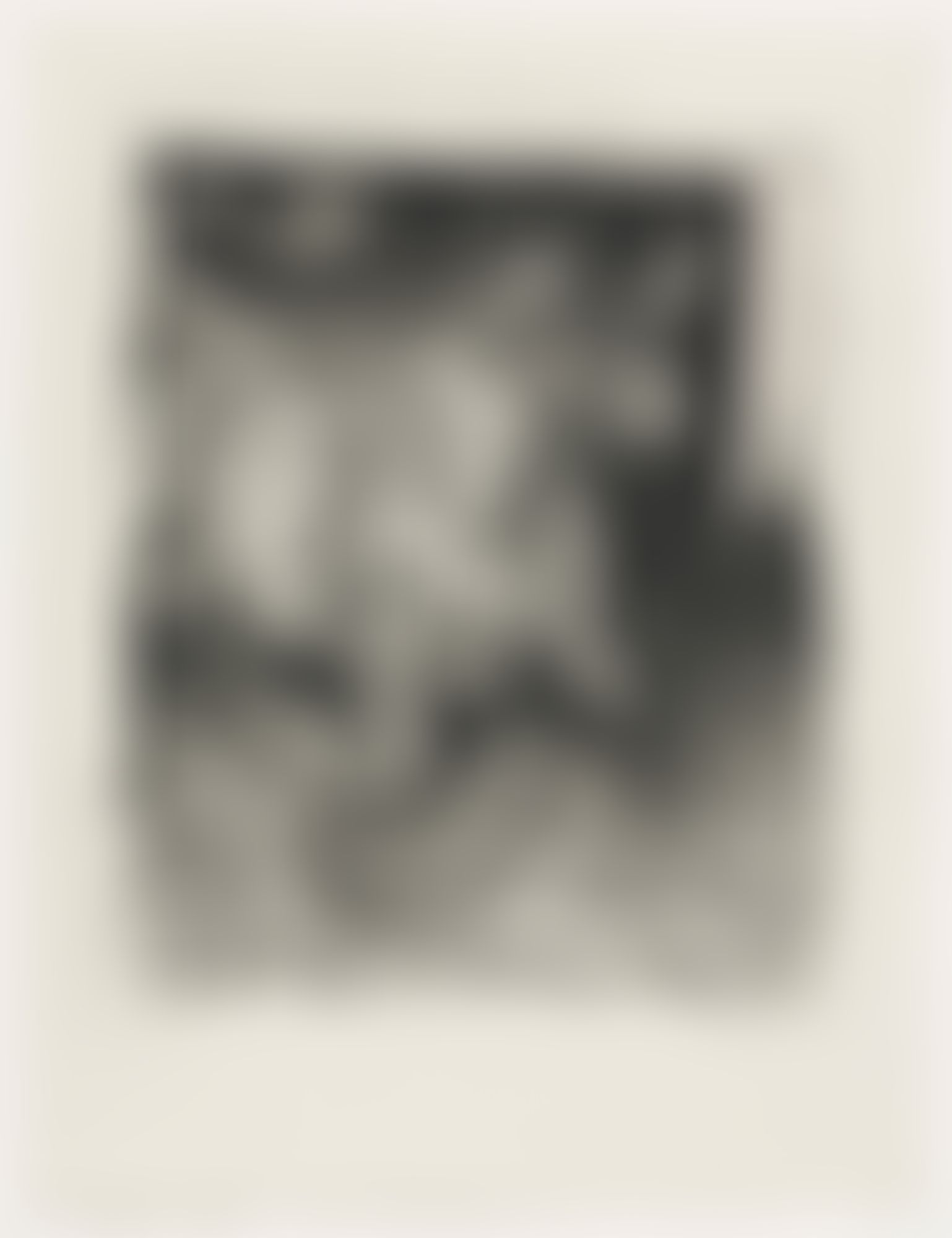Object Image