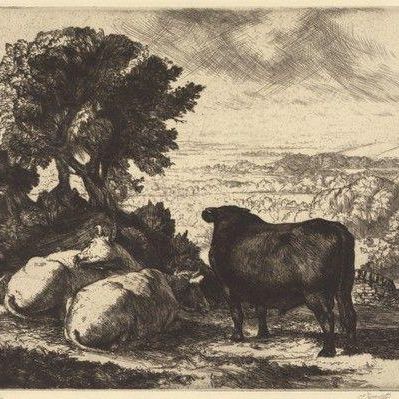 The Cheshire Plain