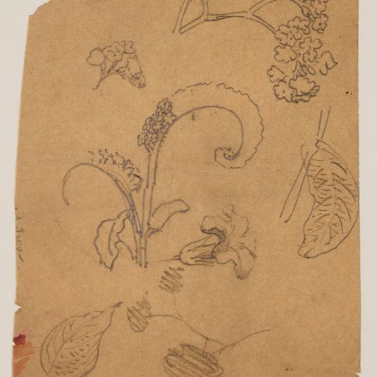 Motifs floraux