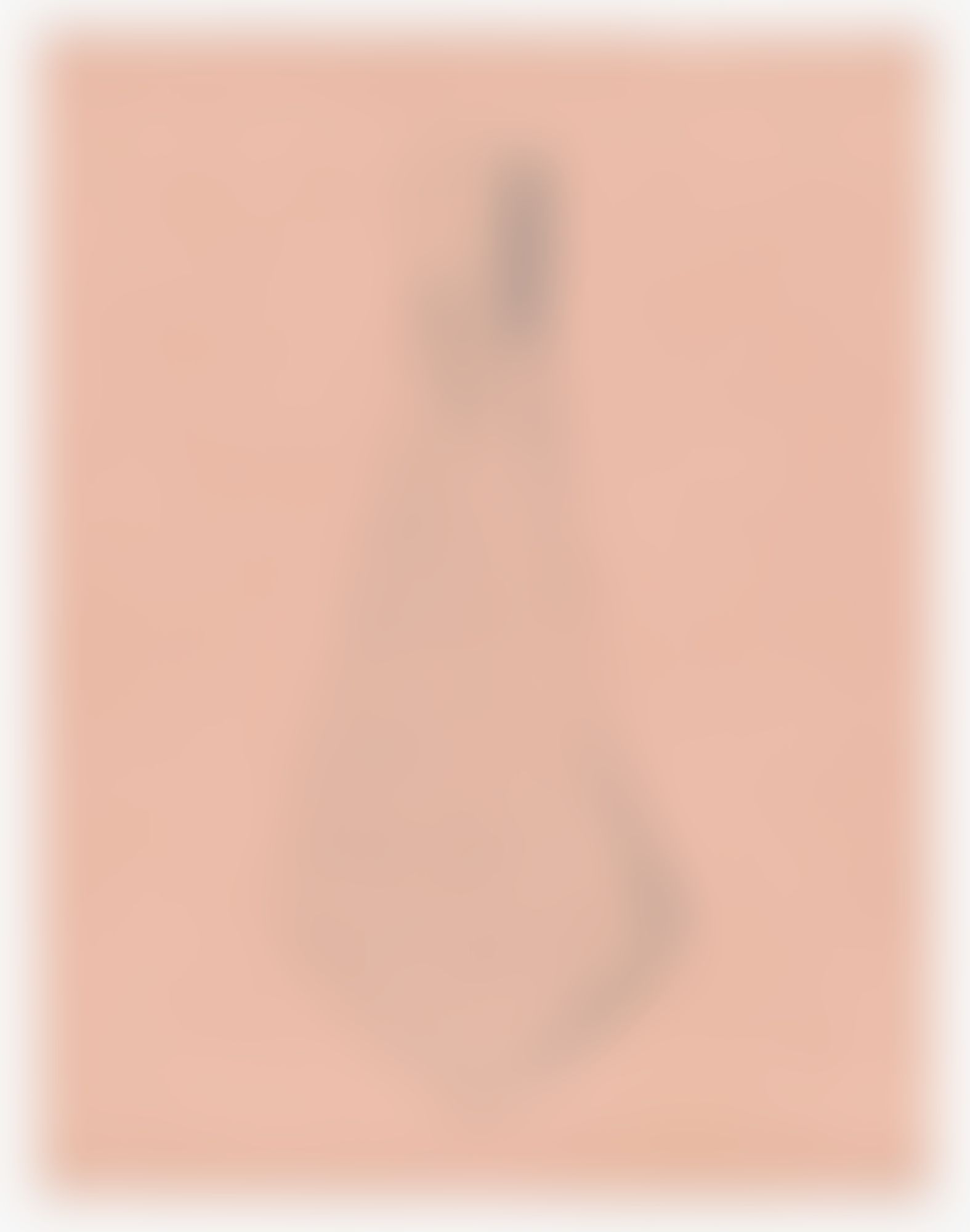 Object Image