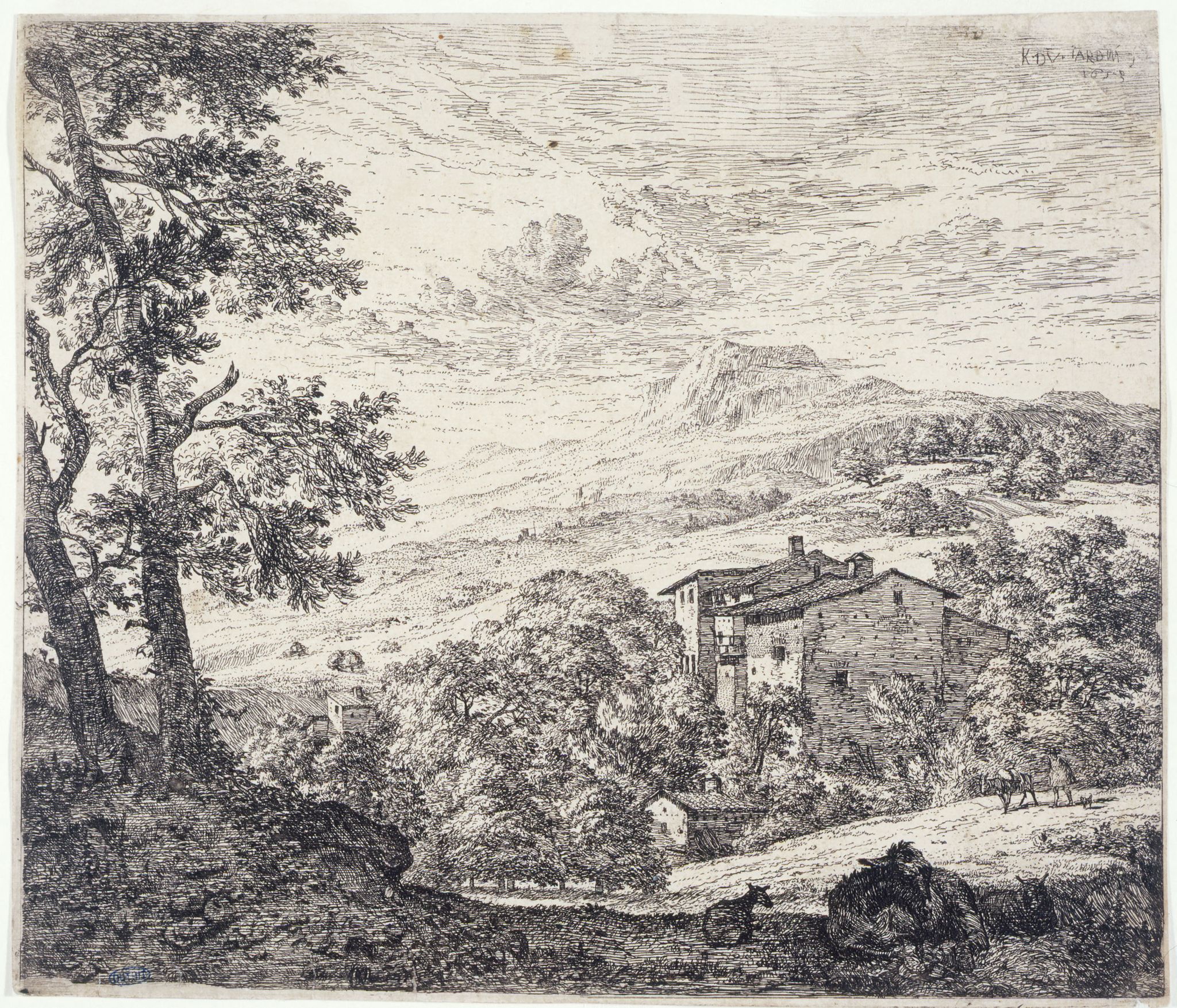 Object Image