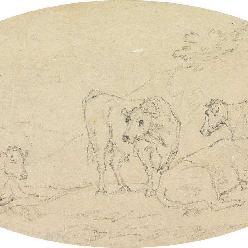 Four Cows in a Field