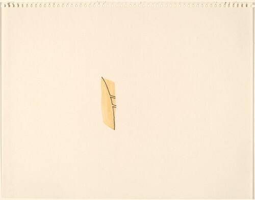 Object Image