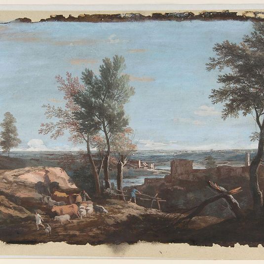 Extensive Pastoral Landscape