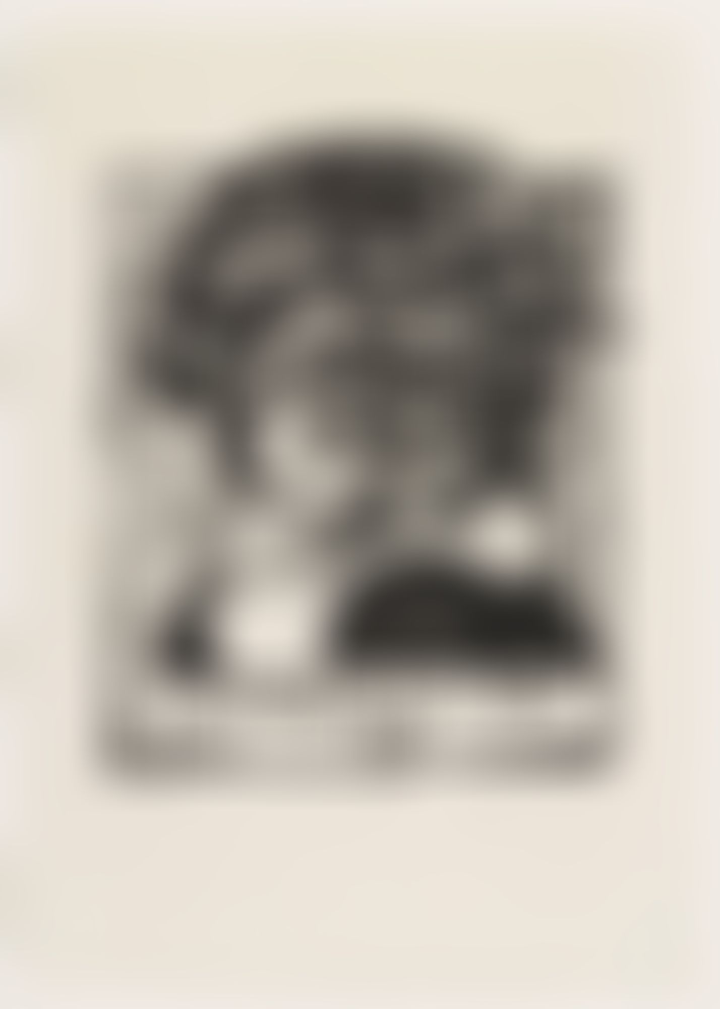 Object Image
