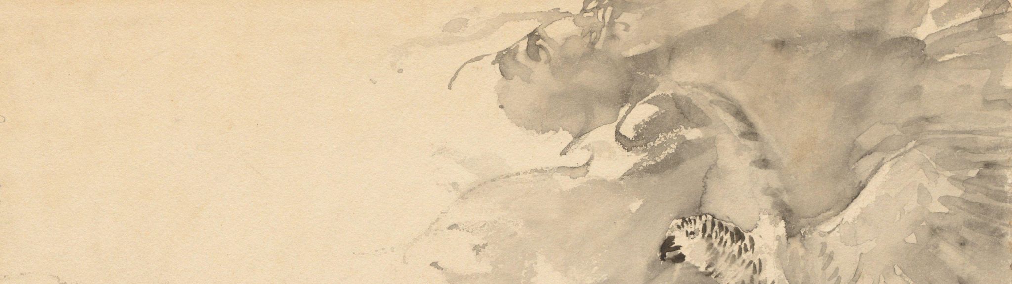 The Parrot and the Cat (Sketch for "Good-Night" by Eleanor Gates)