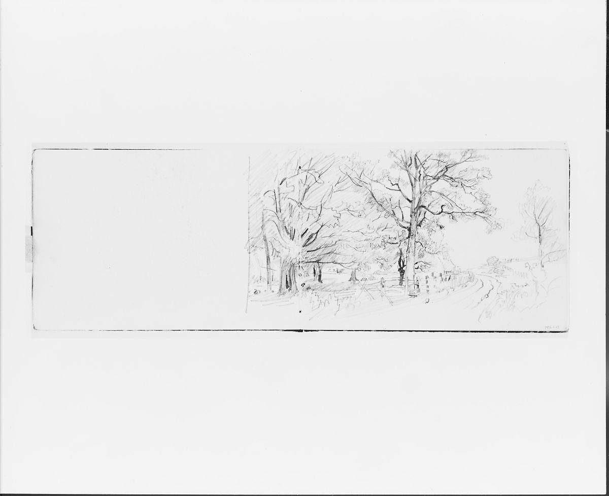 Object Image