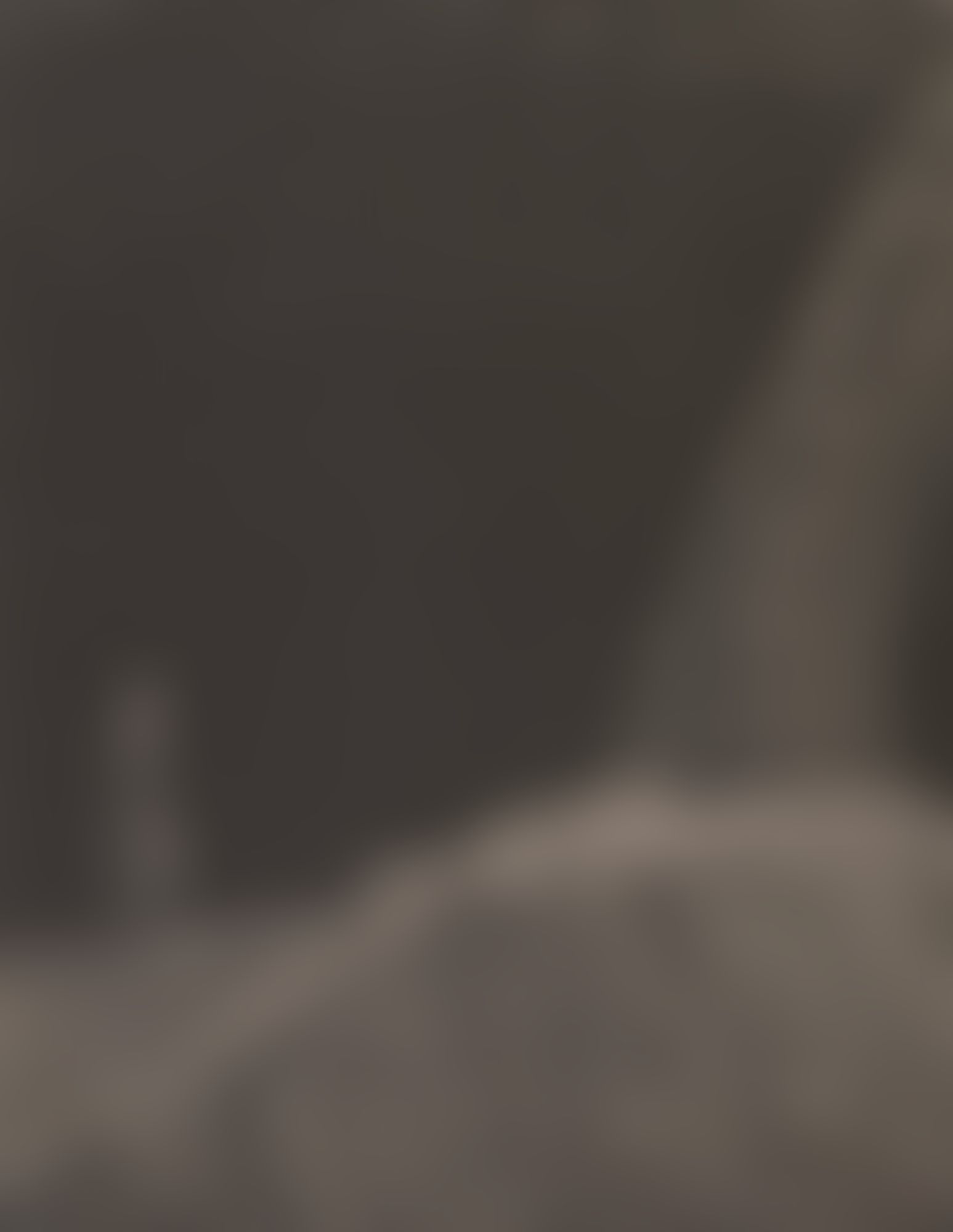 Object Image