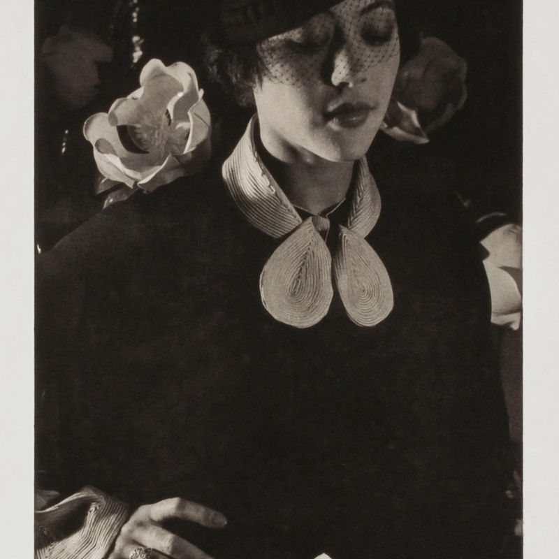 Fredi Washington, from the unrealized portfolio "Noble Black Women: The Harlem Renaissance and After"