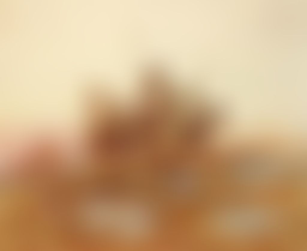 Object Image