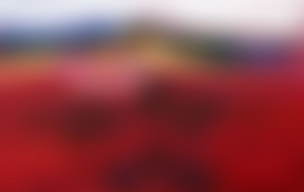 Object Image