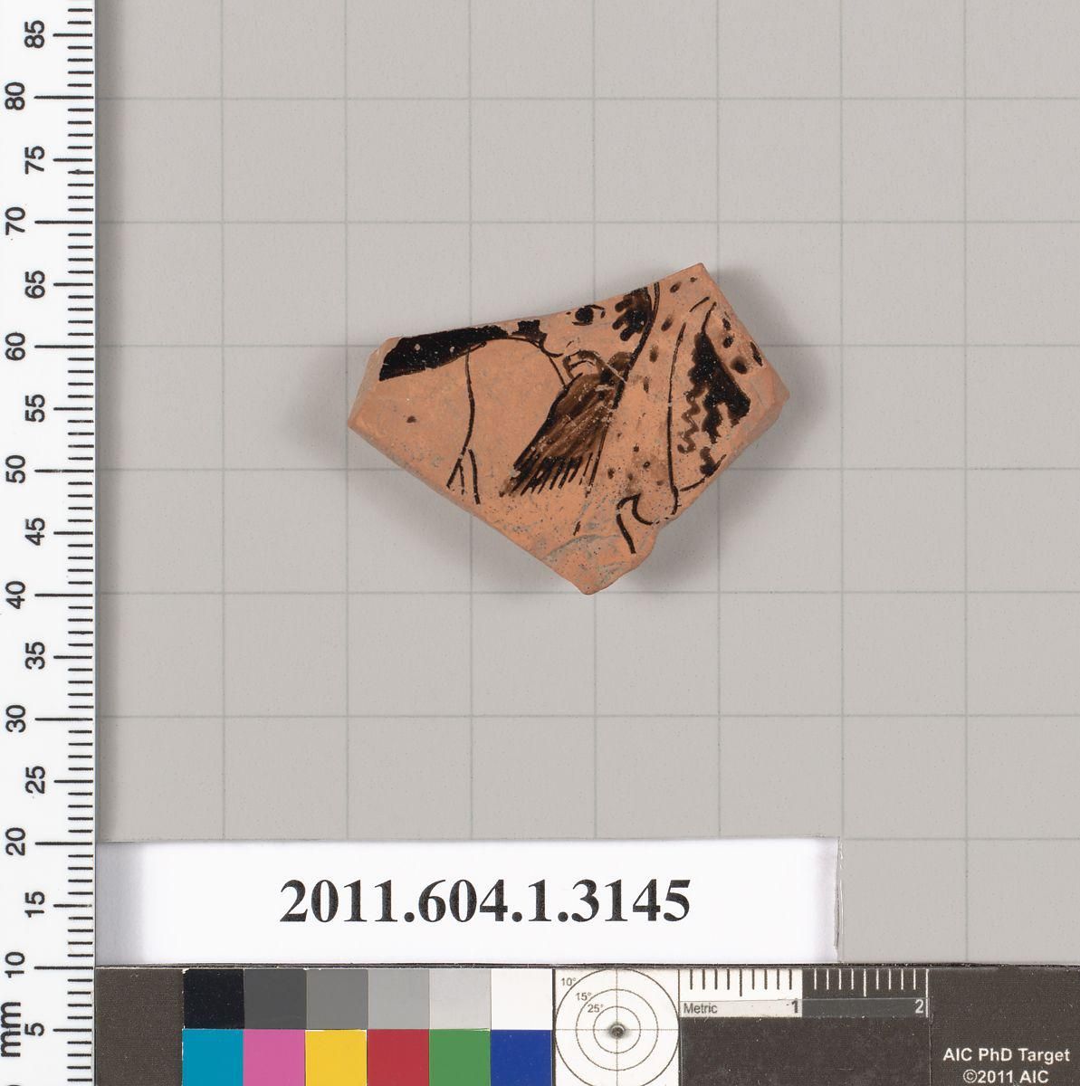 Object Image