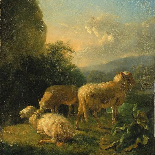 Sheep