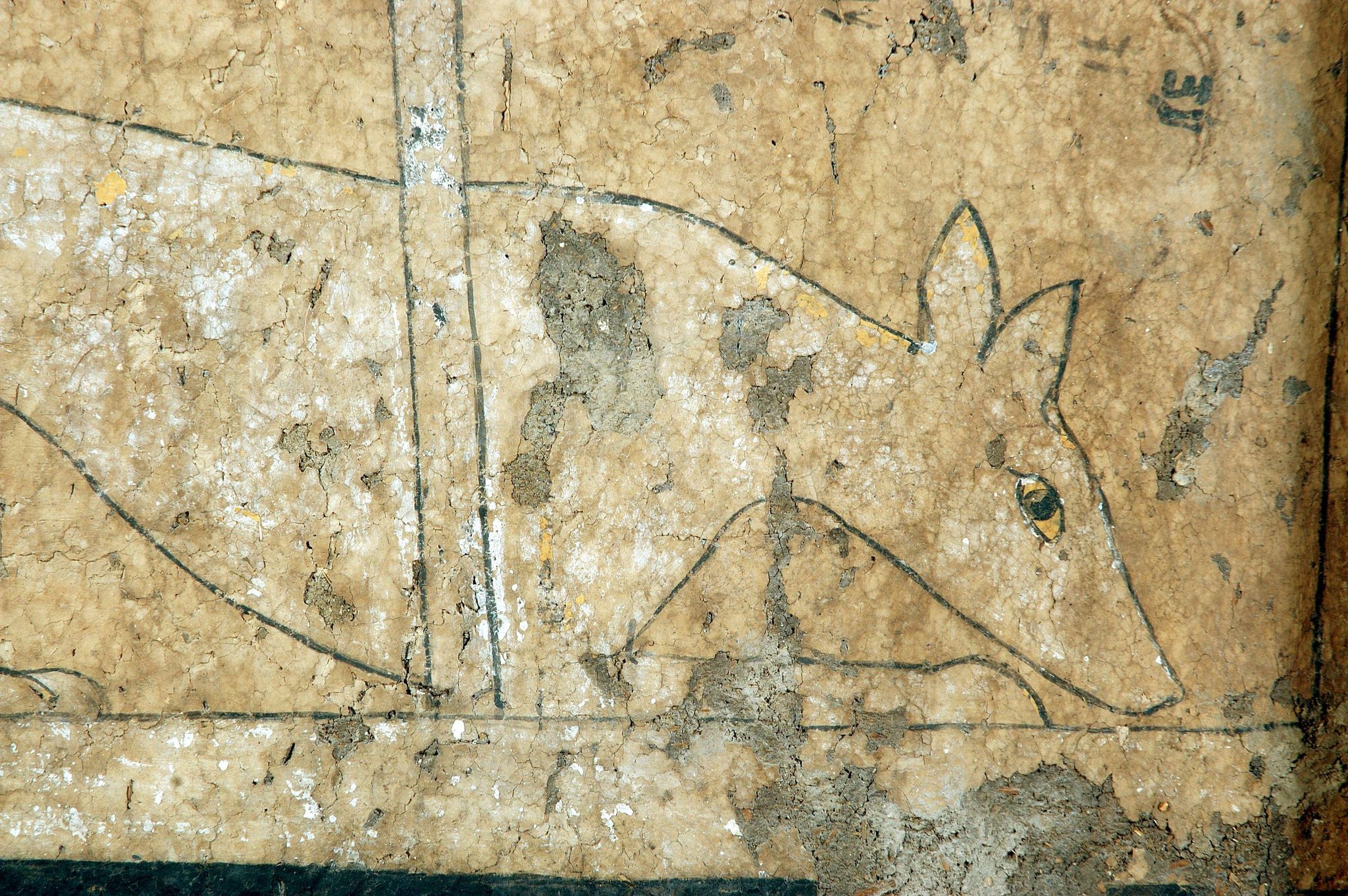 Object Image