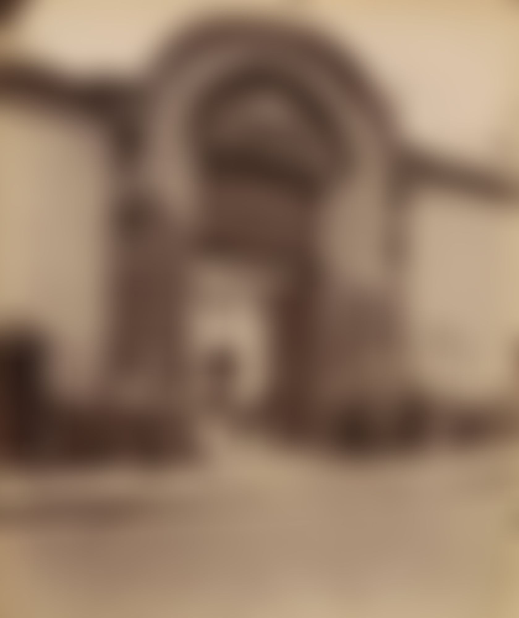 Object Image