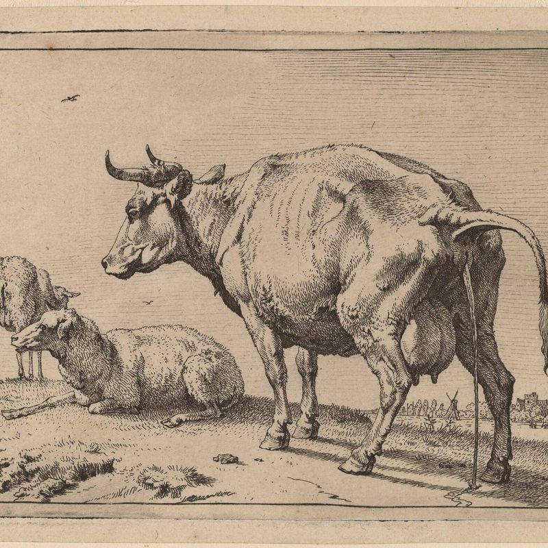Pissing Cow