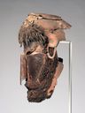 Object Image Thumbnail