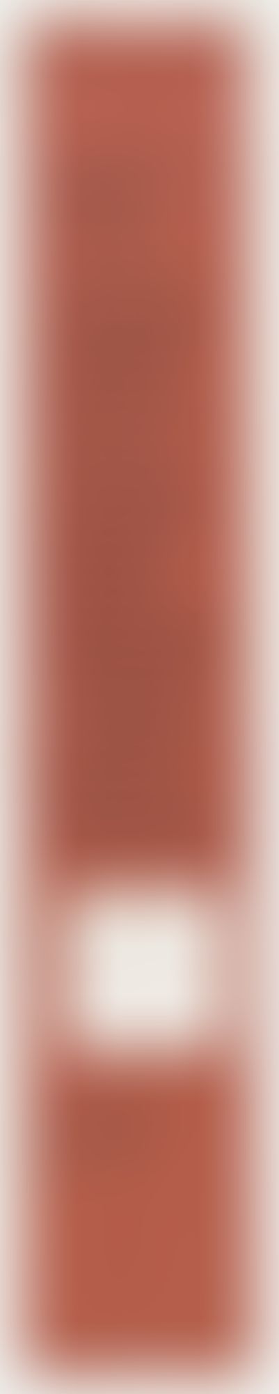 Object Image