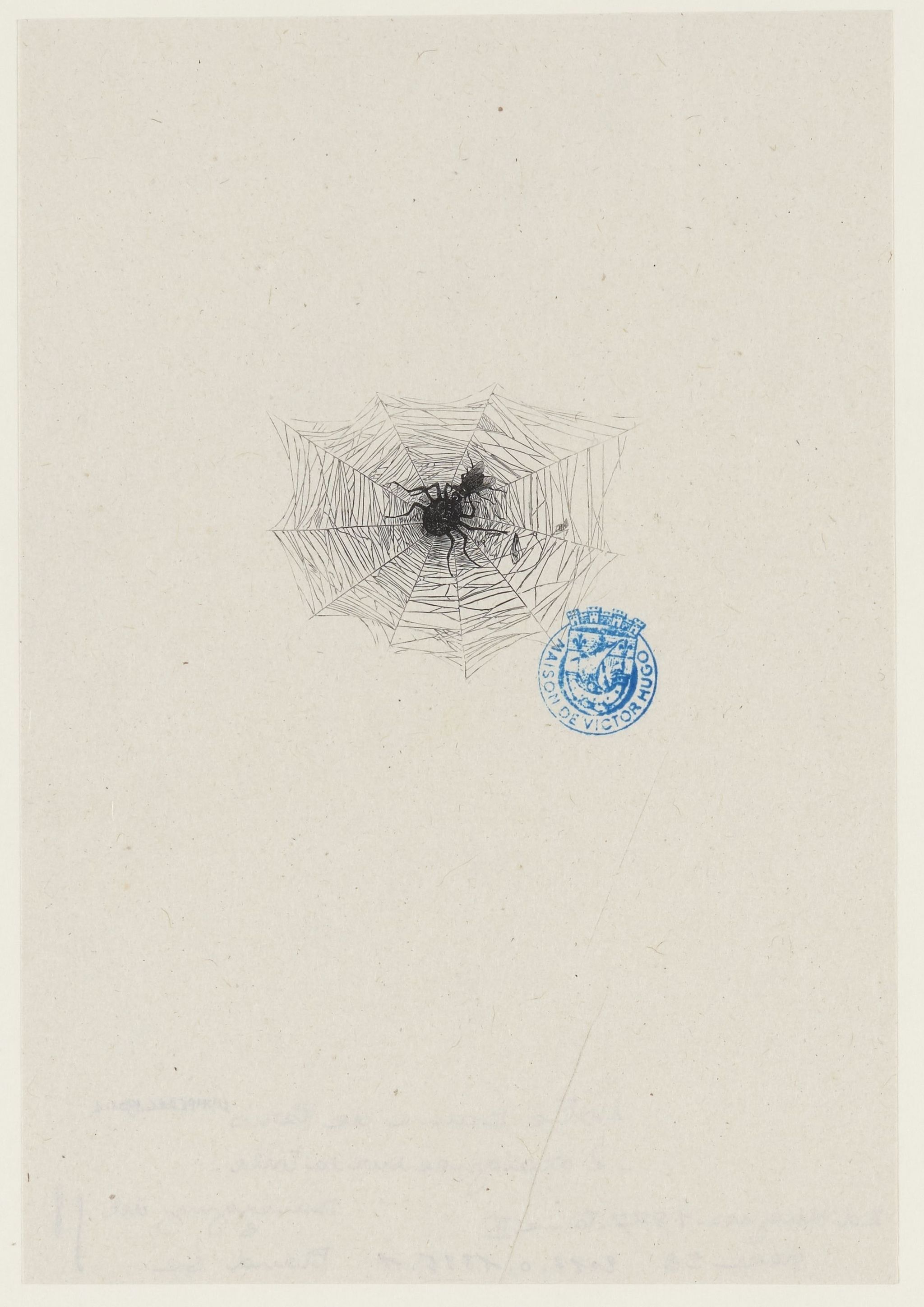 Object Image