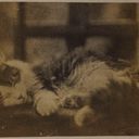 Object Image Thumbnail
