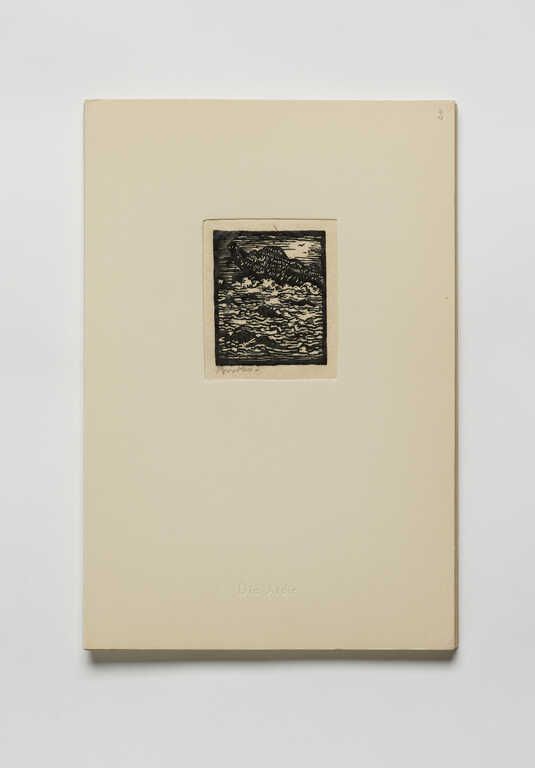 Object Image