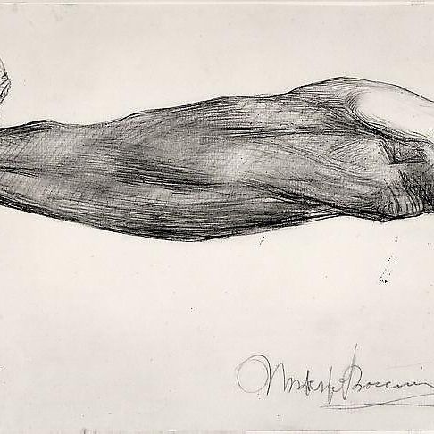 Study of a Man's Forearm